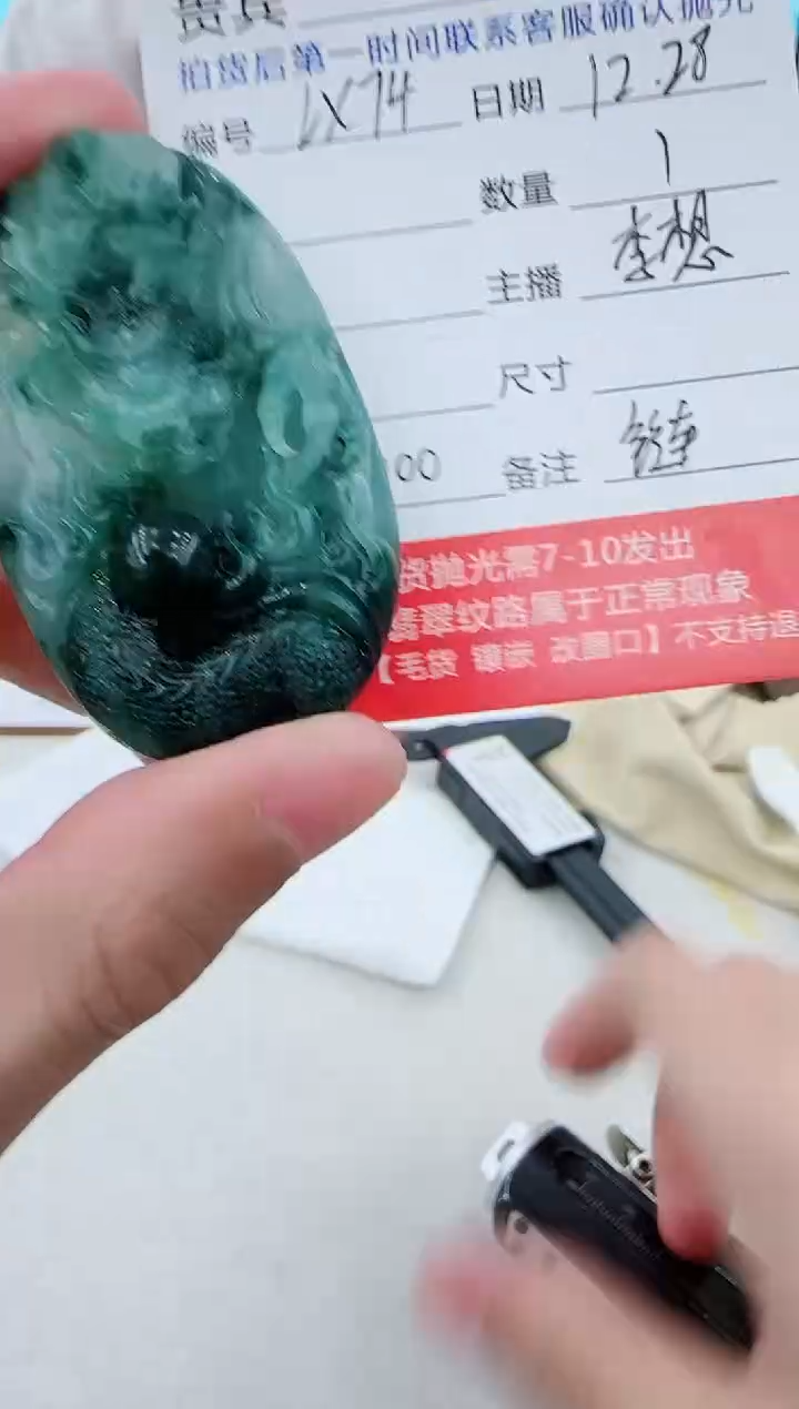 未镶嵌定制翡翠LX74翡翠吊坠赠珠链-多样性发其一