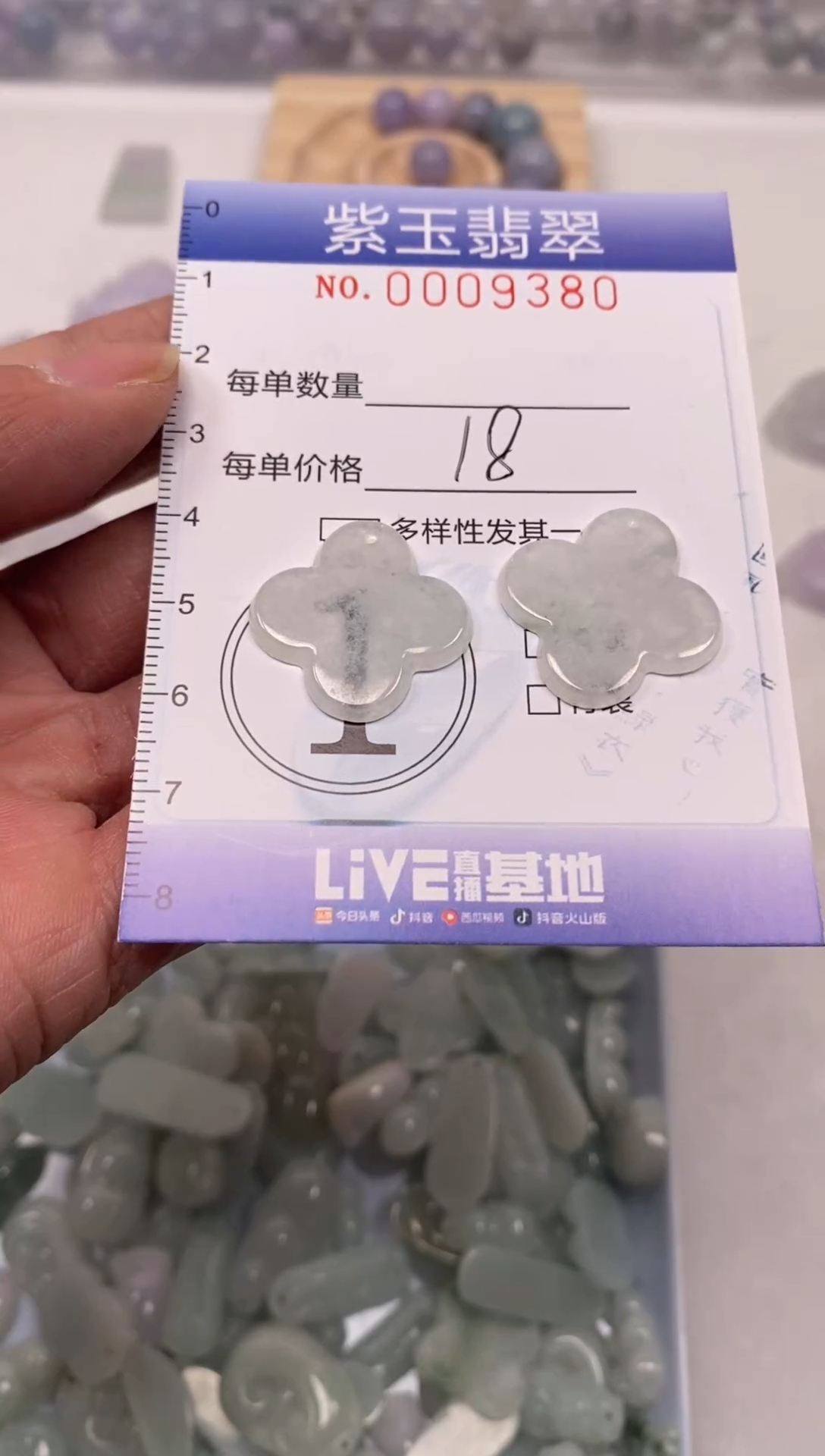 【闪购商品】翡翠颈饰未镶嵌挂件