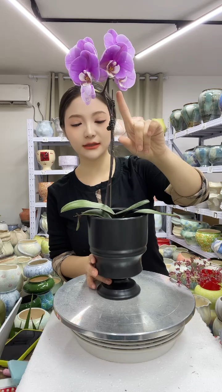 【12.31】花盆链接高： 17 口：12