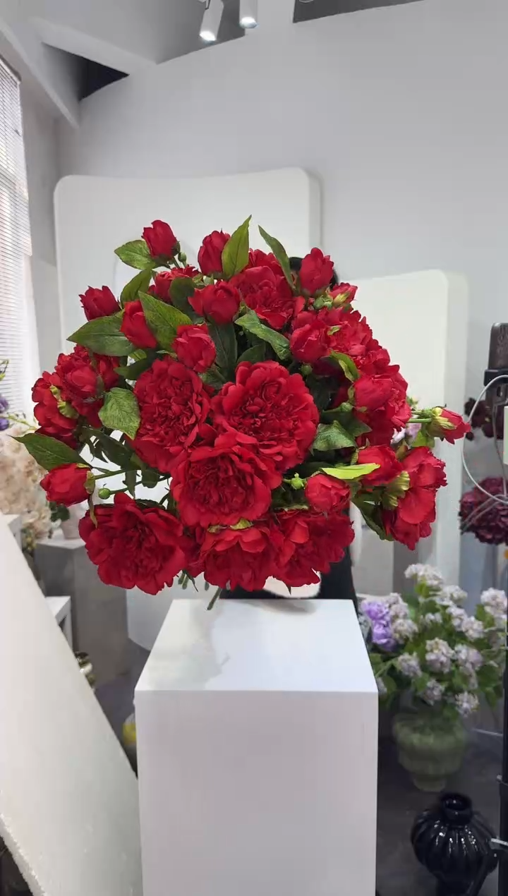 【闪购商品】藤10枝红色牡丹花（不含花瓶）