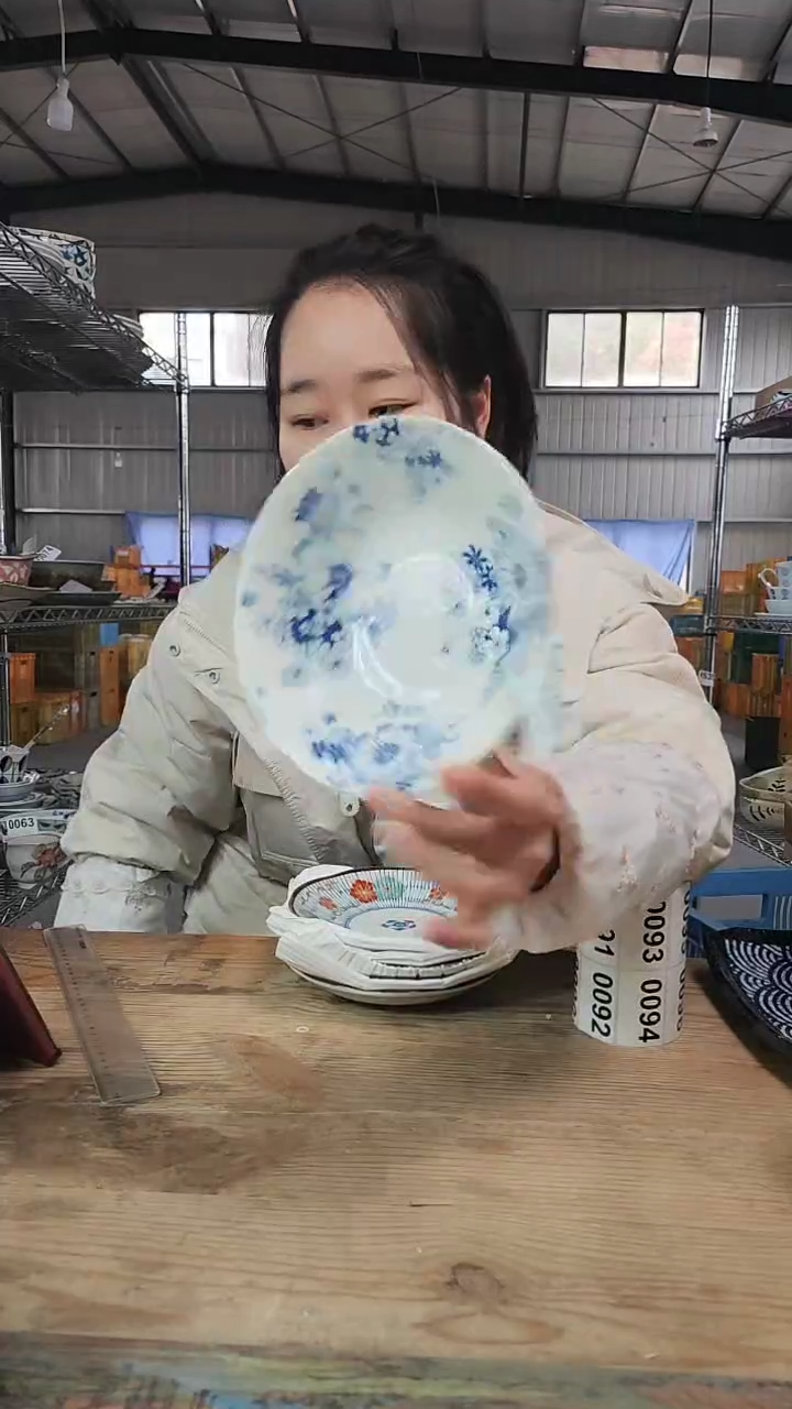 【闪购商品】瓷片088号           17*5