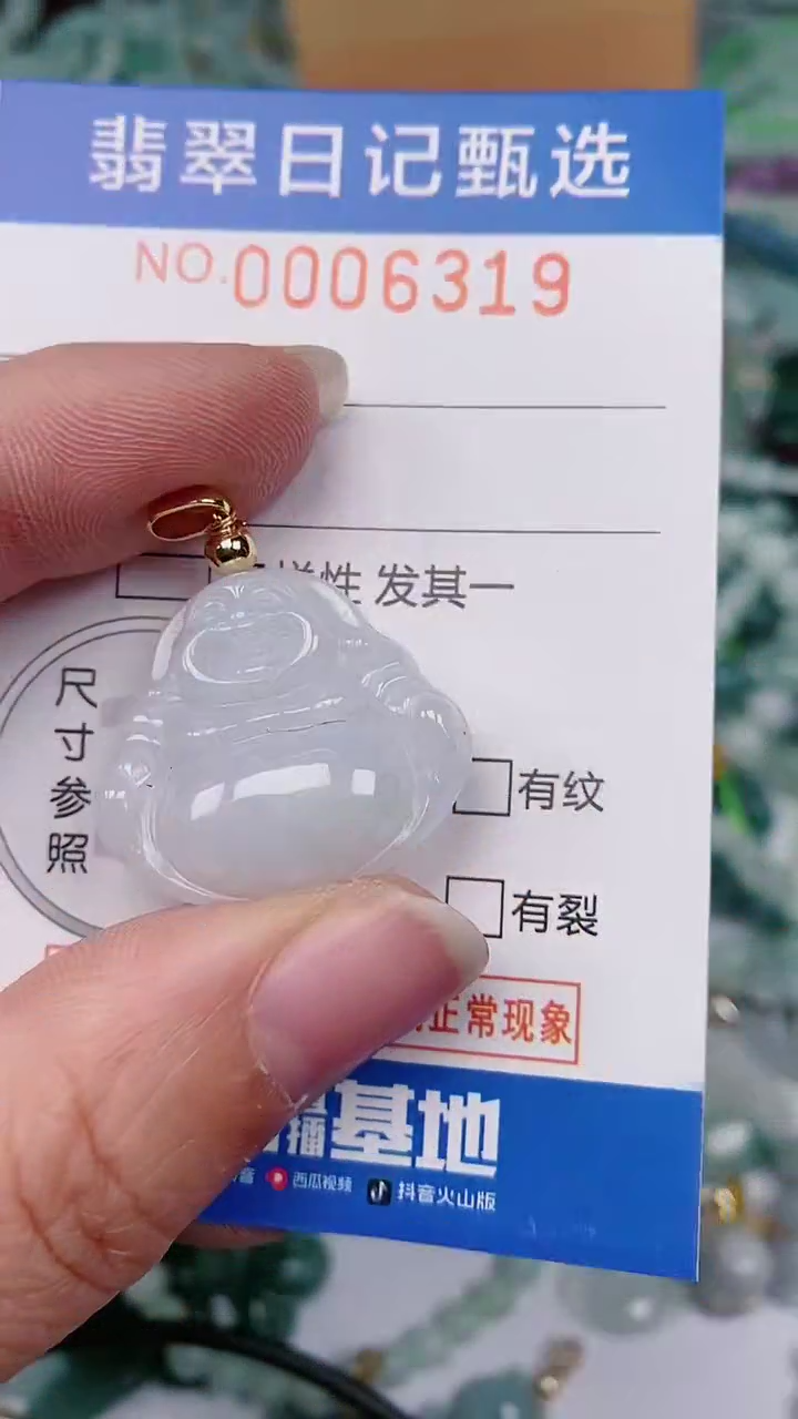 【闪购商品】翡翠颈饰未镶嵌00006319