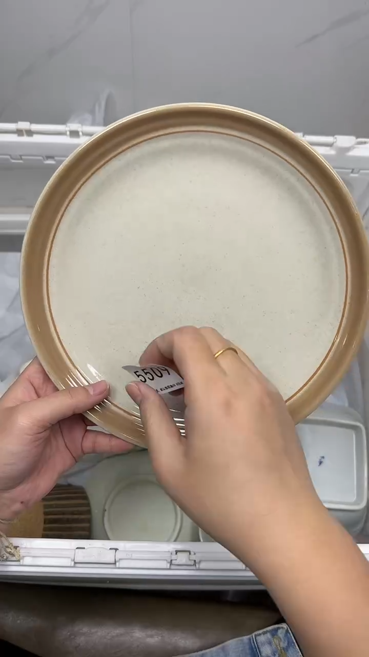 【闪购商品】5509回流瓷器默认微瑕，18.8包邮