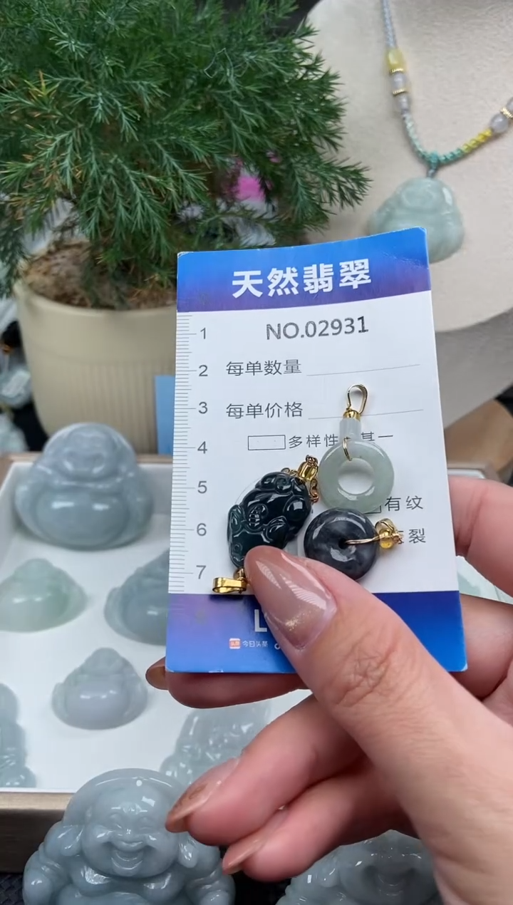 颈饰未镶嵌翡翠纯天然A货翡翠2931