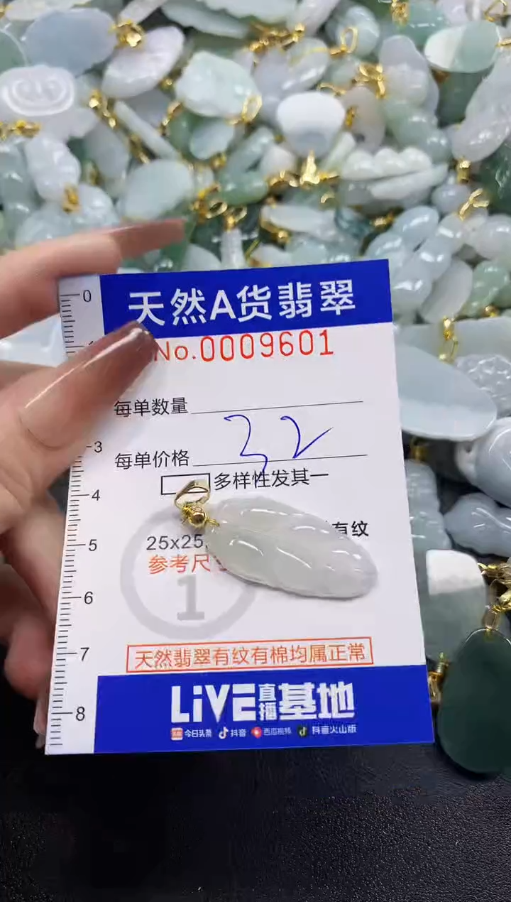 颈饰未镶嵌翡翠天然A货翡翠