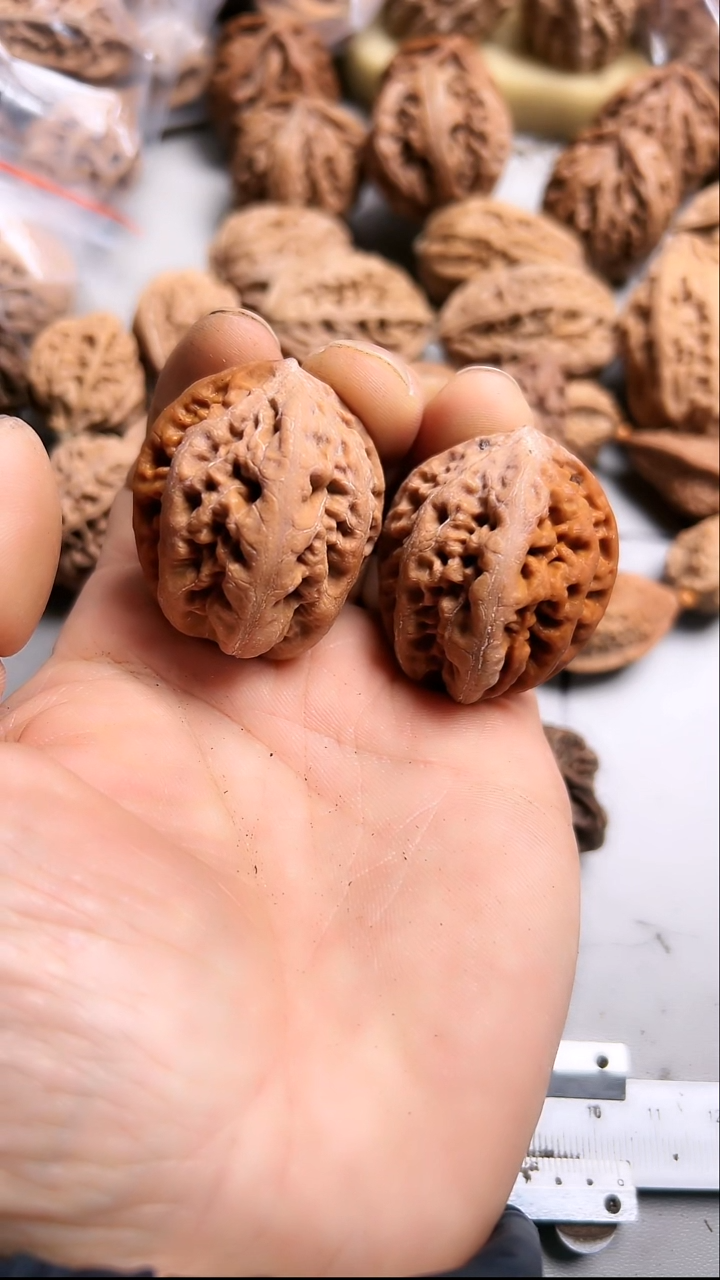 核桃东北野生大秋子2