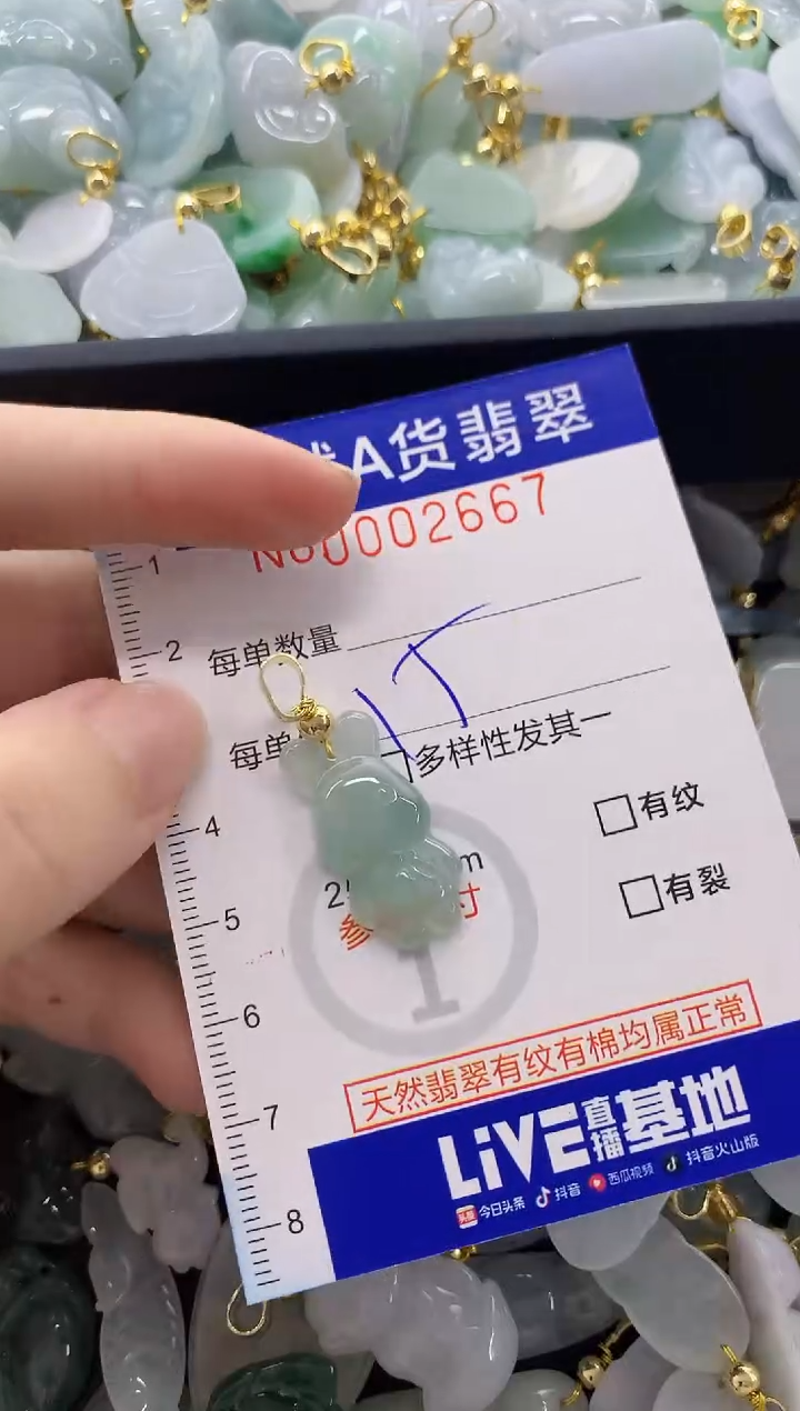 颈饰未镶嵌翡翠天然A货翡翠