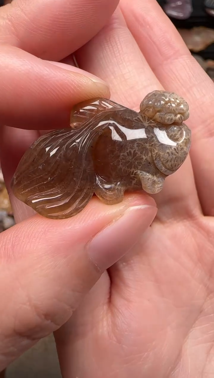 硅化珊瑚（珊瑚玉）未镶嵌颈饰846