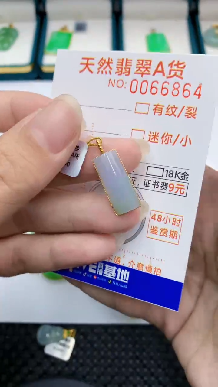 【闪购商品】翡翠颈饰18K金镶嵌            8