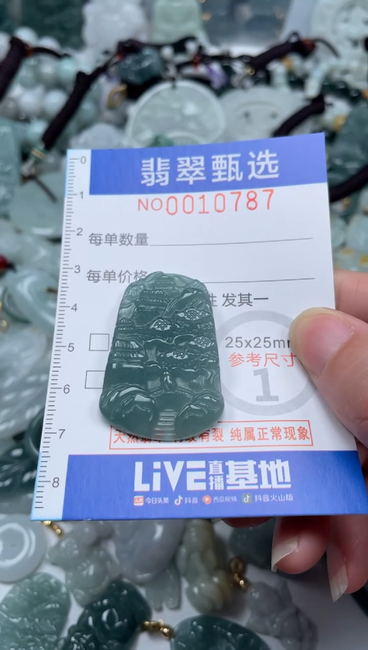 颈饰未镶嵌翡翠10787