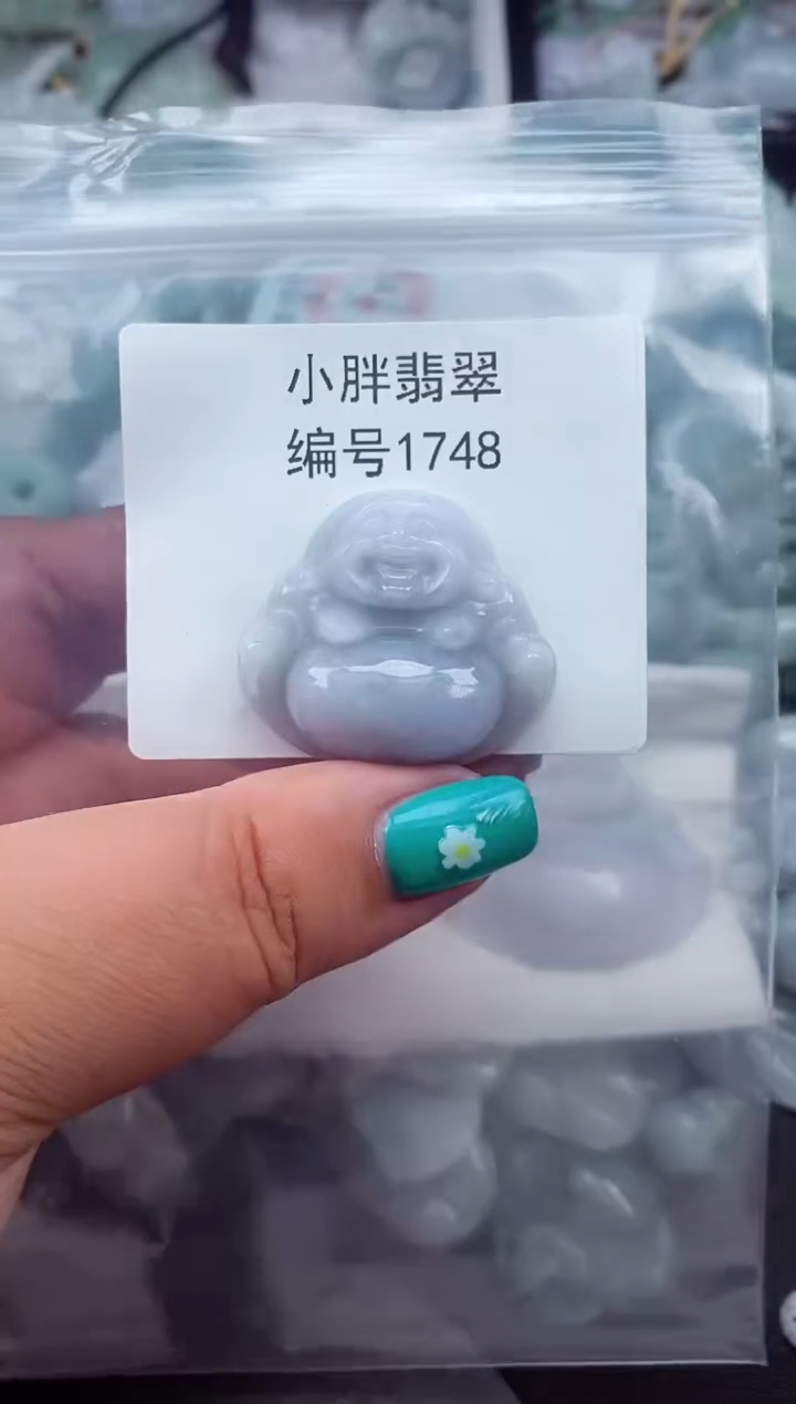 颈饰未镶嵌翡翠缅甸天然A货翡翠1748