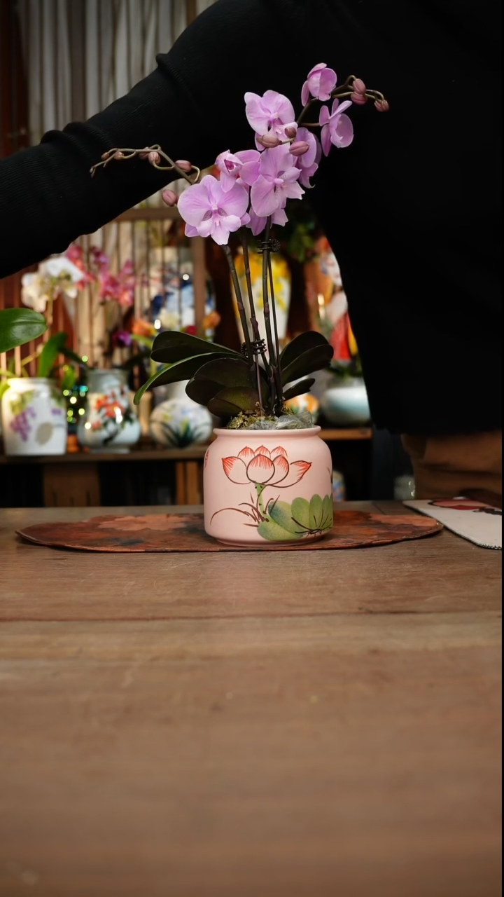 当代高温釉下彩手绘陶瓷餐具