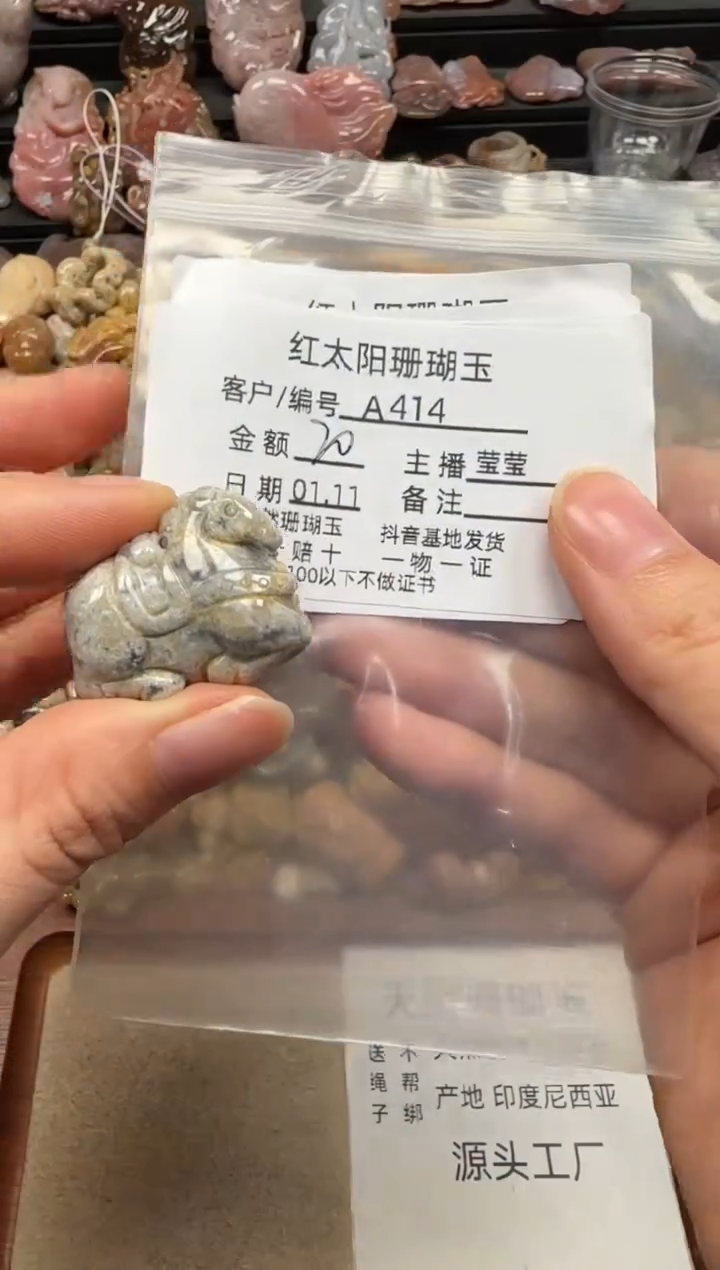 【闪购商品】硅化珊瑚（珊瑚玉）颈饰未镶嵌414