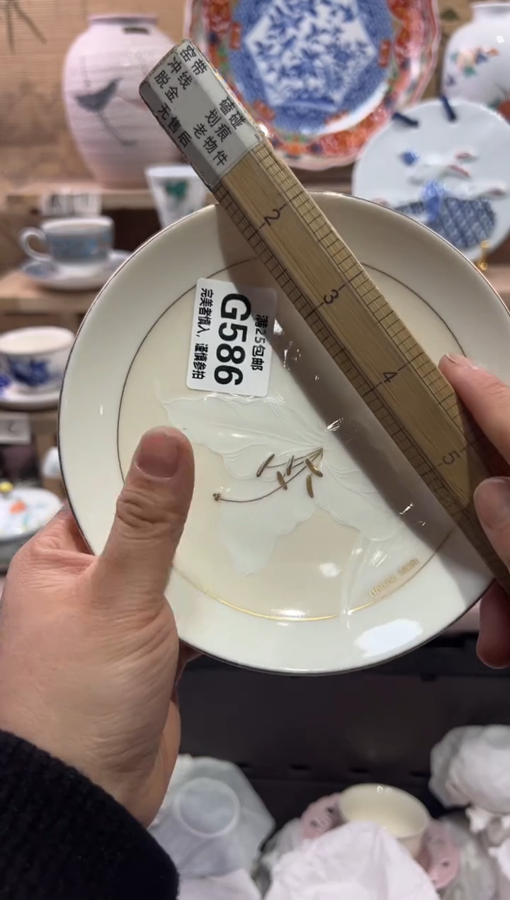 瓷片雪*              G586