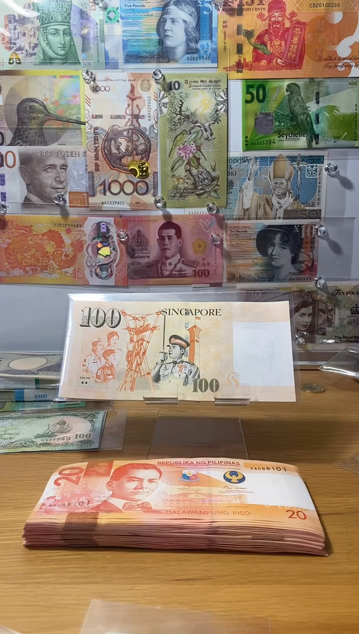 纸币我**哥新加坡100纸币一张