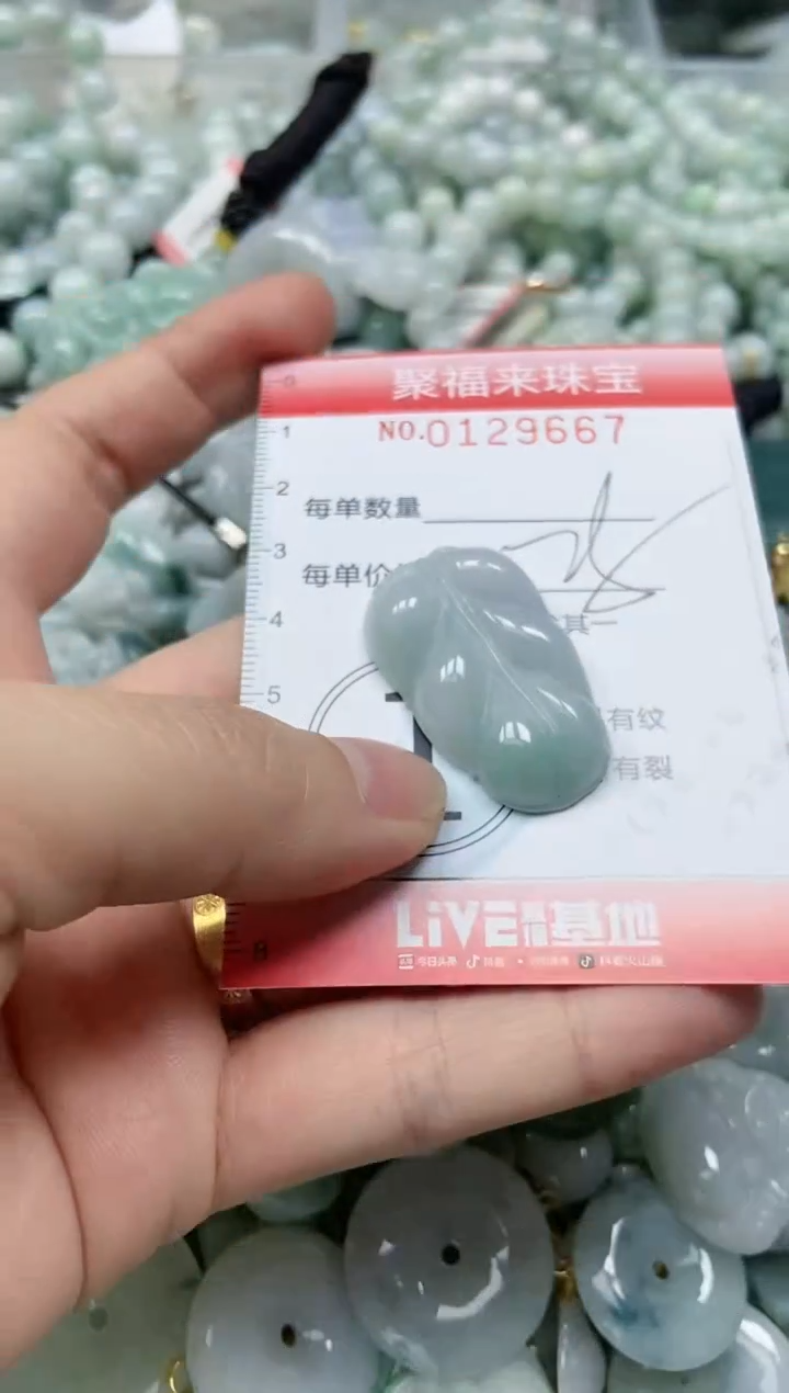 翡翠未镶嵌颈饰闪购0129667