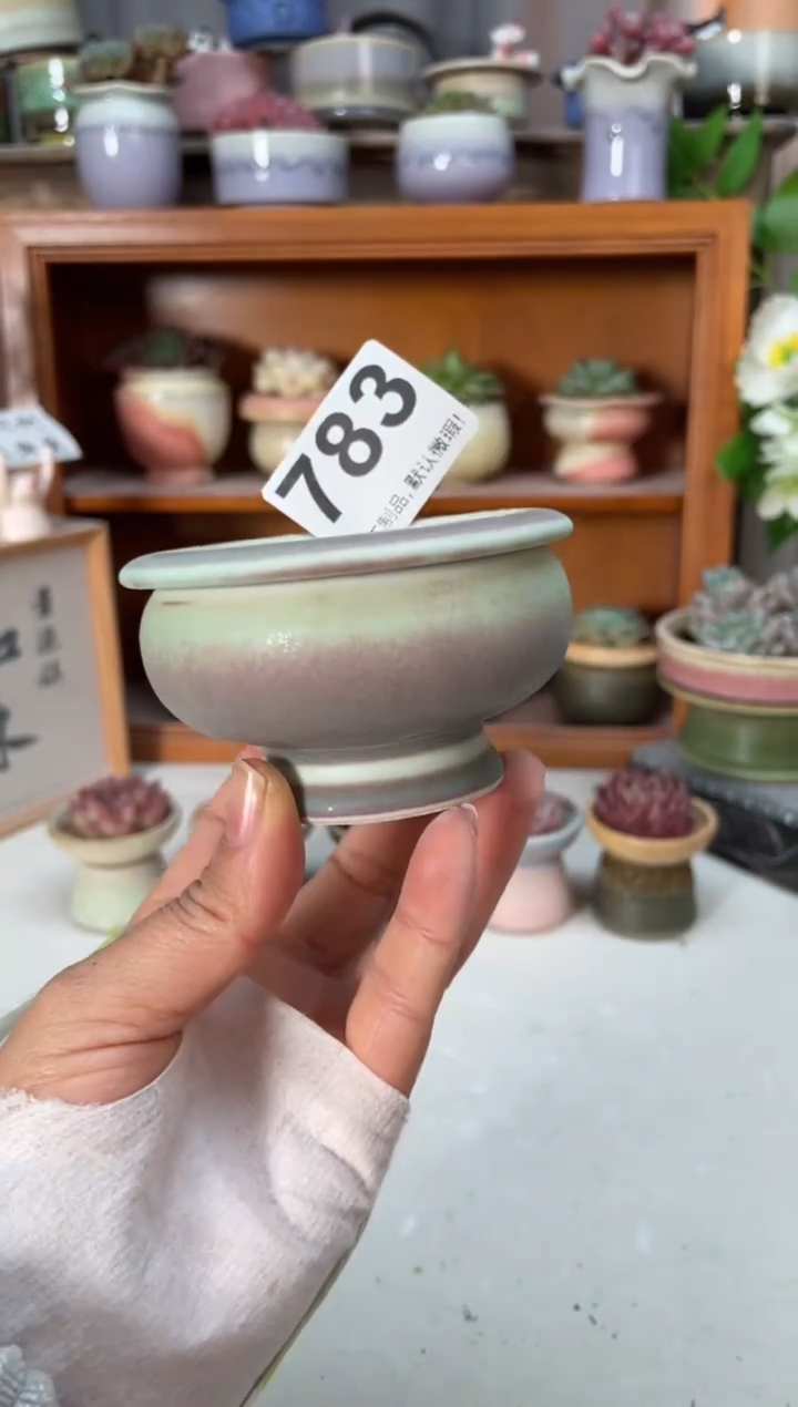 瓷片783小芳直播编号