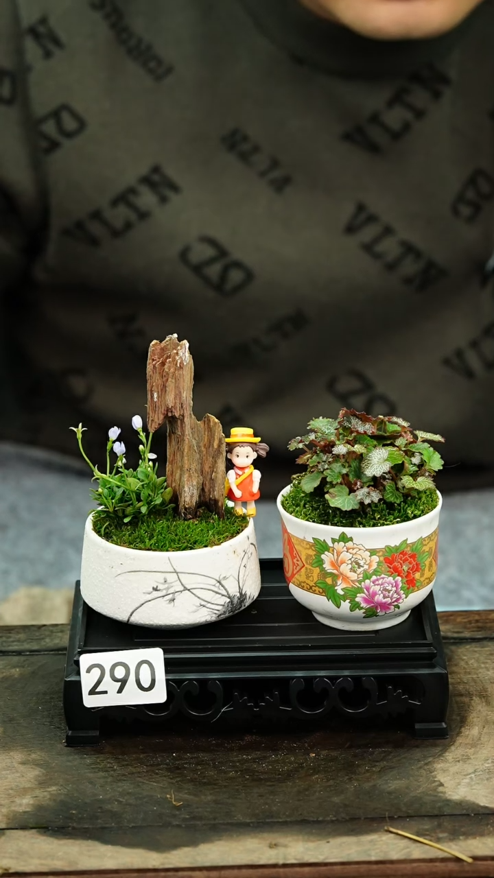 【闪购商品】苔藓微景观290号