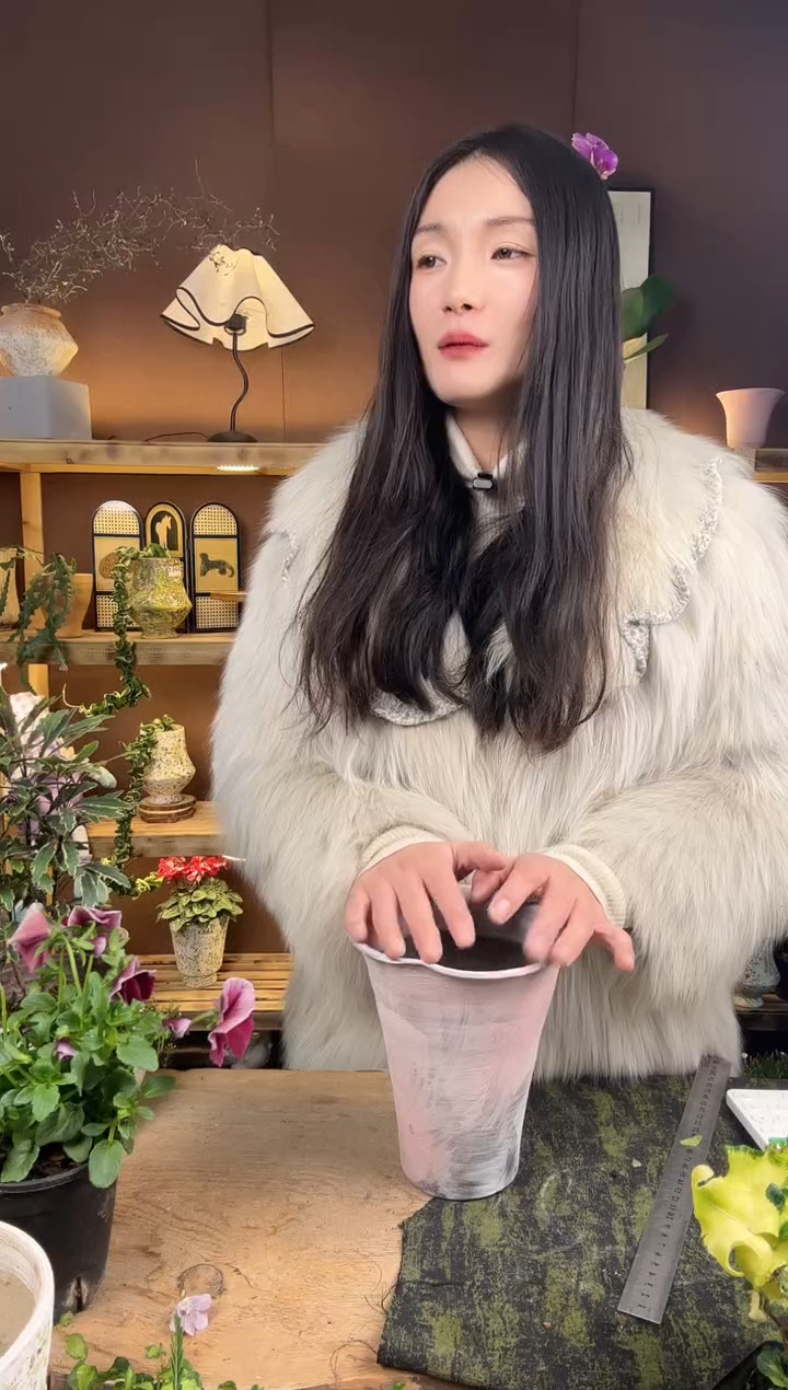 以实际为准●****猫陪伴礼    8