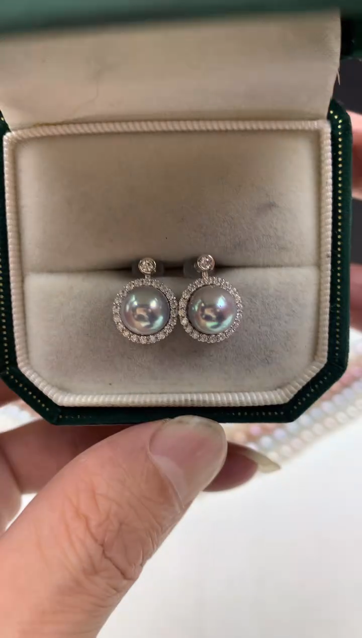 银S925镶嵌ff海水珍珠akoya灰珠耳饰8~9mm