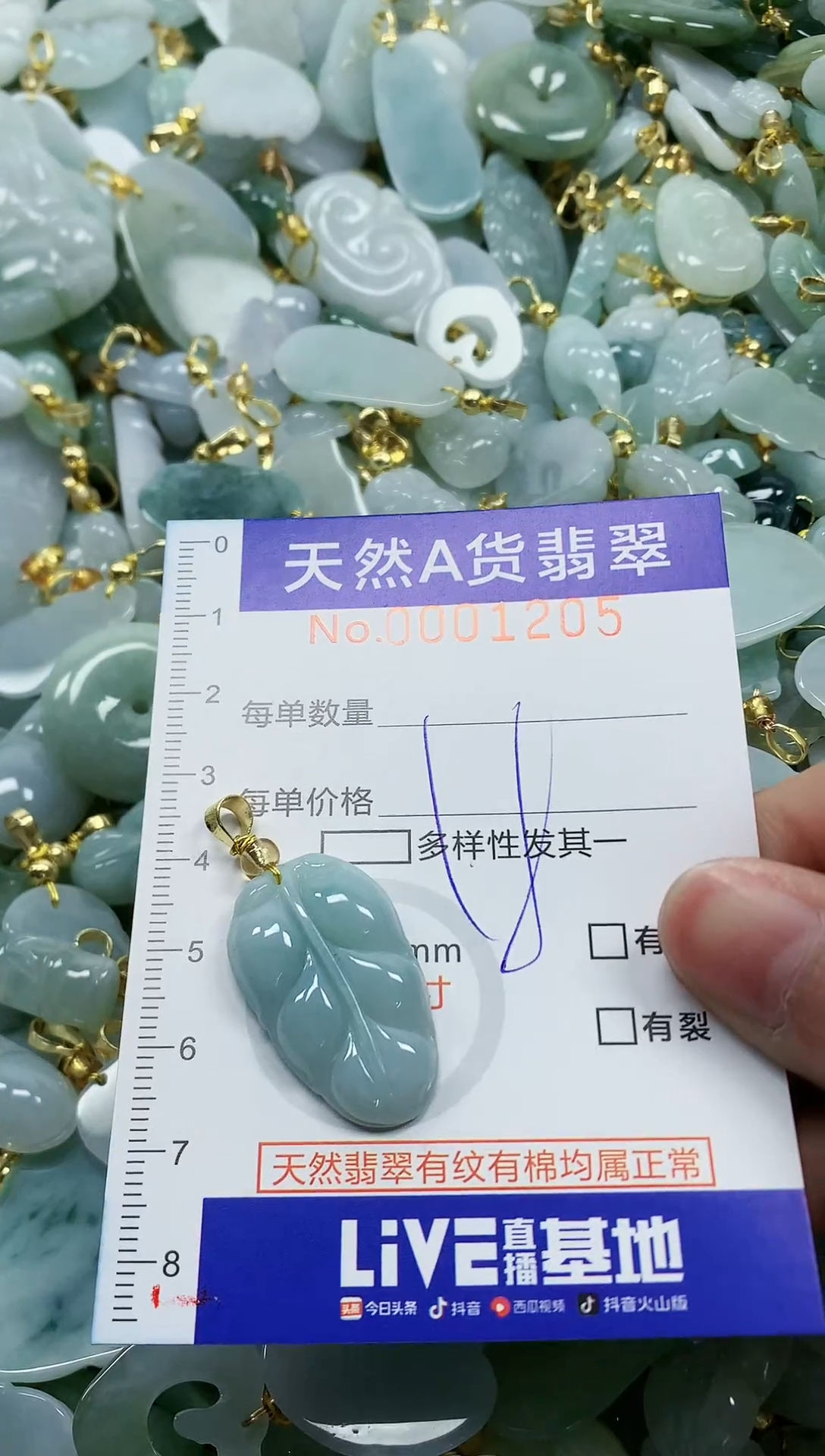 颈饰未镶嵌翡翠纯天然a货翡翠