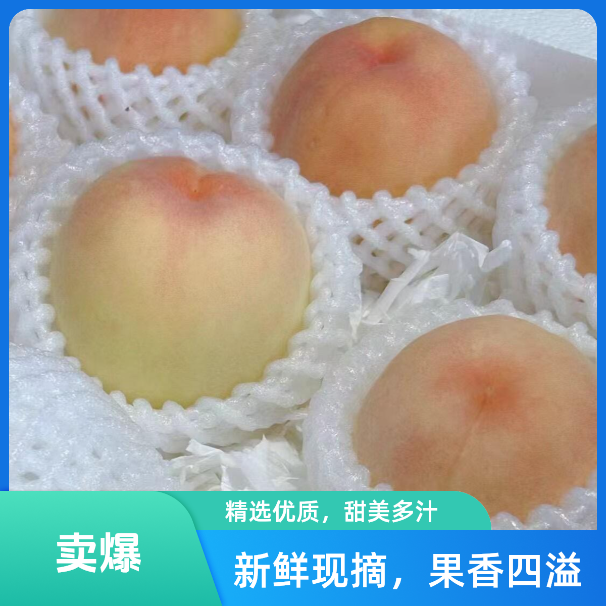 川宝水蜜桃2.6-2.8斤辽宁省