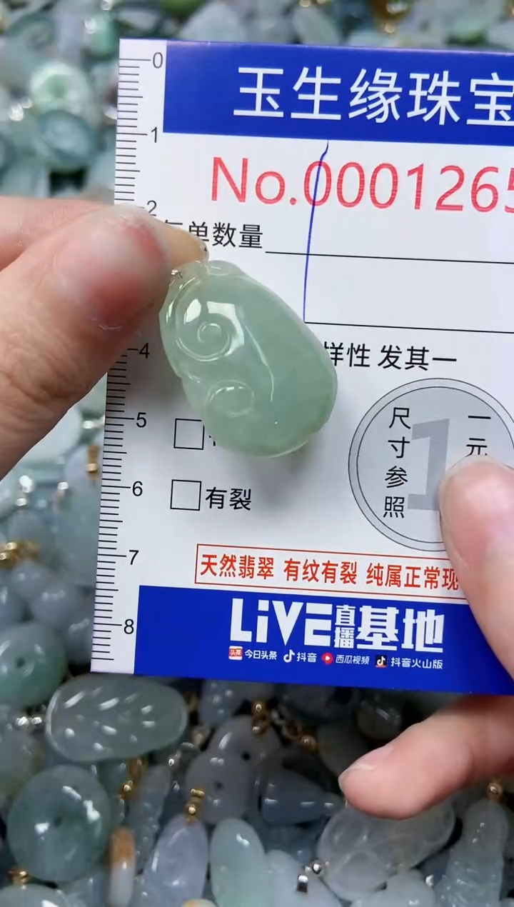 【闪购商品】翡翠颈饰未镶嵌闪购00001265