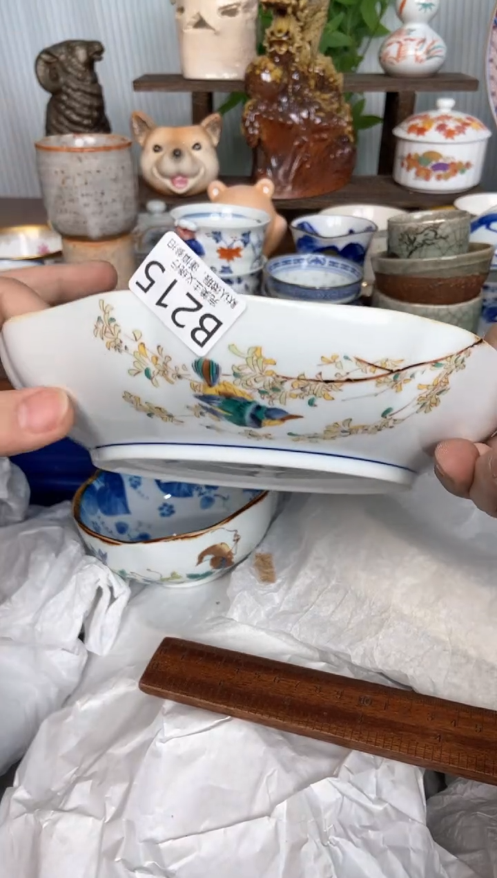 【闪购商品】瓷片看就看可洁可净215