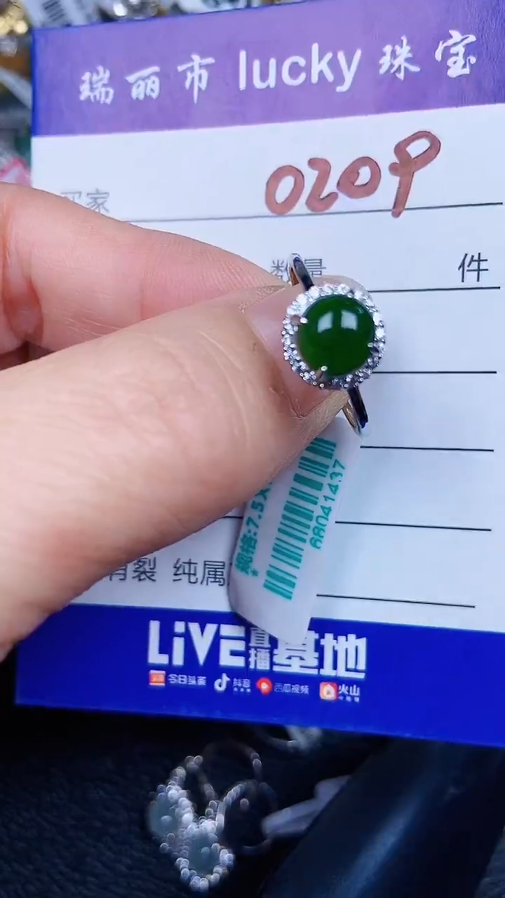 颈饰银S925镶嵌翡翠0209