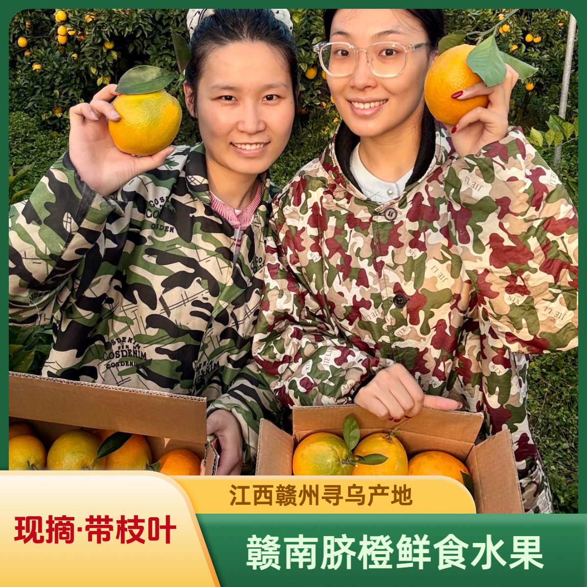 【现摘】赣南脐橙正宗精品应季水果新鲜橙子江西赣州寻乌