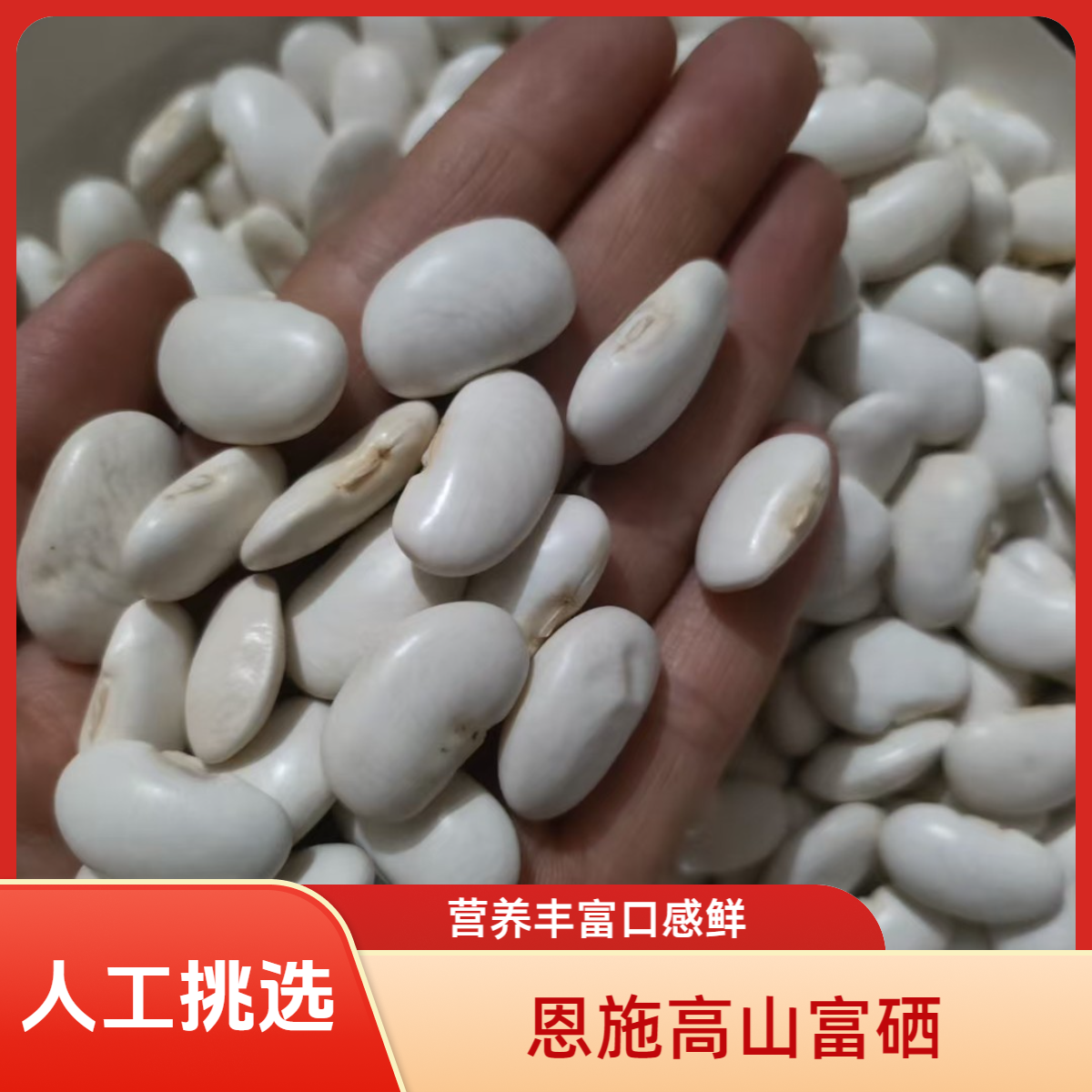 恩施高山新鲜富硒芸豆，营养丰富，口感鲜美，可煲汤、蒸扣、炒、煲粥