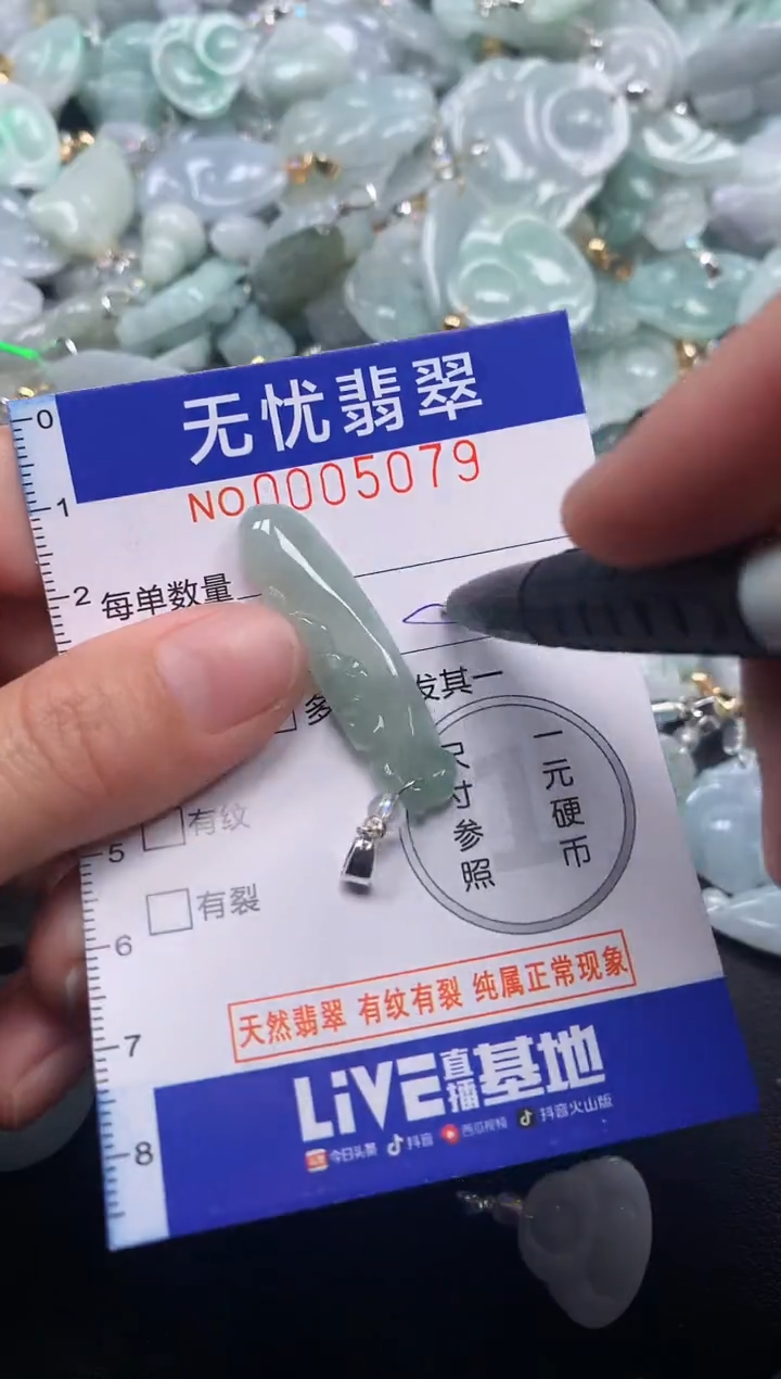 颈饰未镶嵌翡翠5079