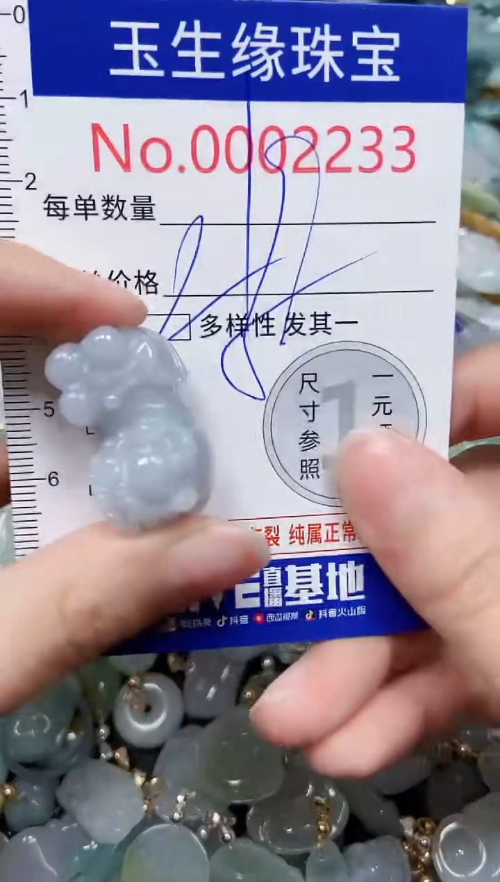 【闪购商品】翡翠颈饰未镶嵌闪购00002233