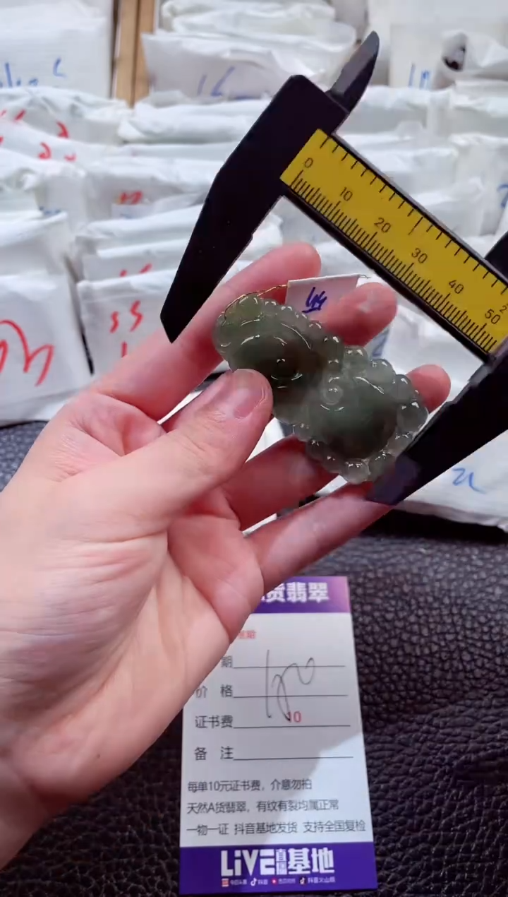 翡翠未镶嵌颈饰00000244