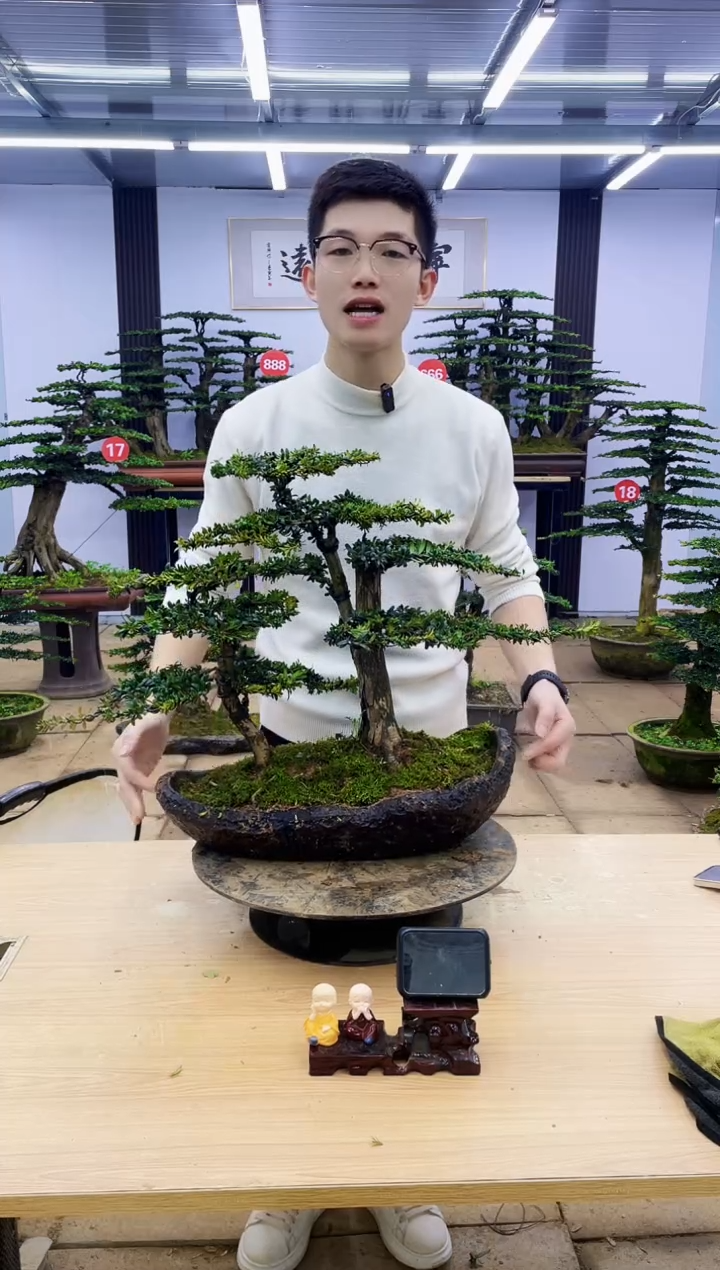【闪购商品】000000000