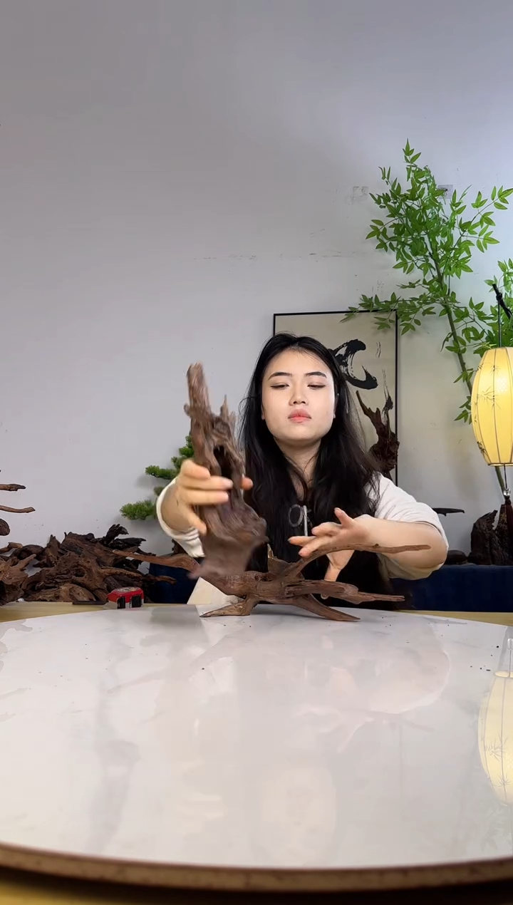 无**悔拍沉木定向链接编号50