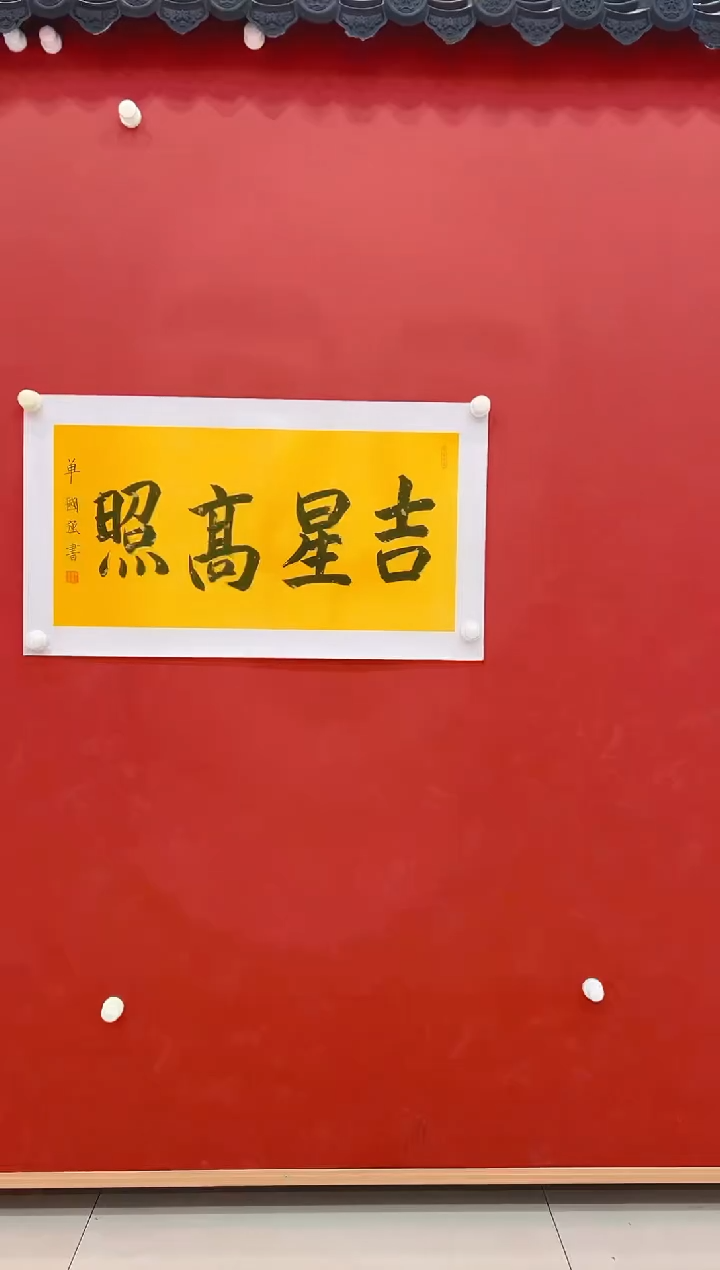 【闪购商品】书法单国强            书法