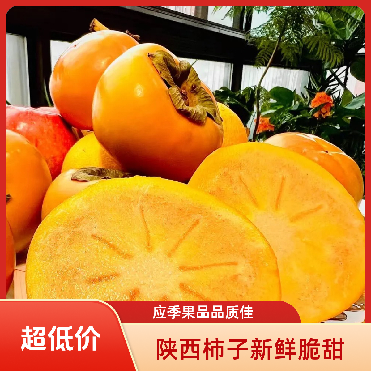 陕西泾阳巧克力脆柿 新鲜采摘 应季鲜果 汁水饱满
