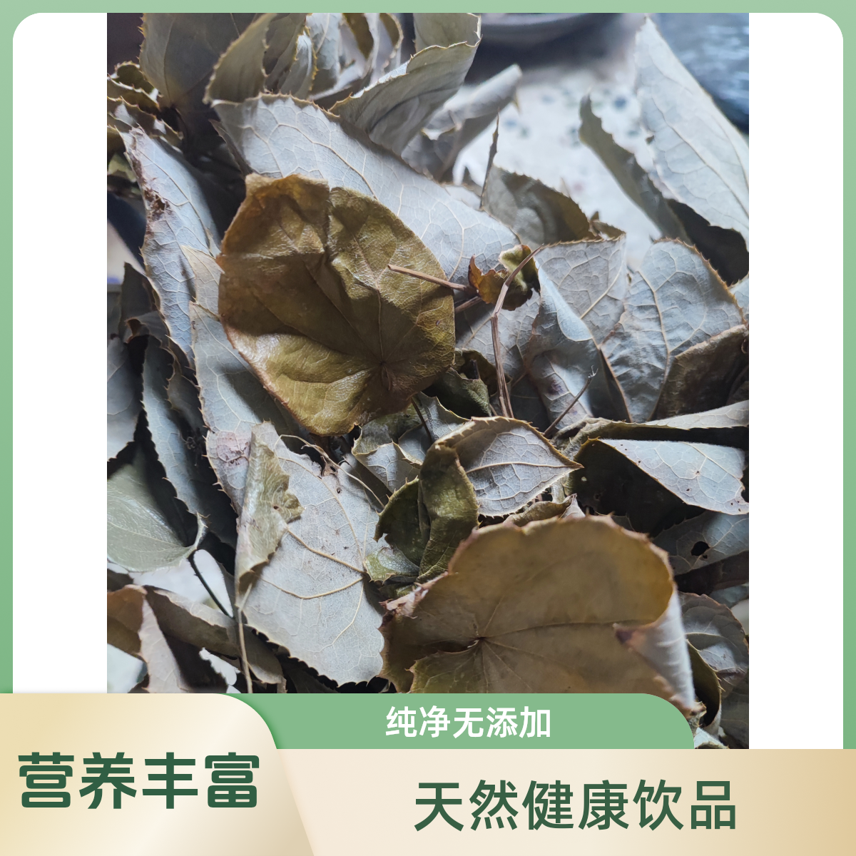 正宗深山三枝九叶草