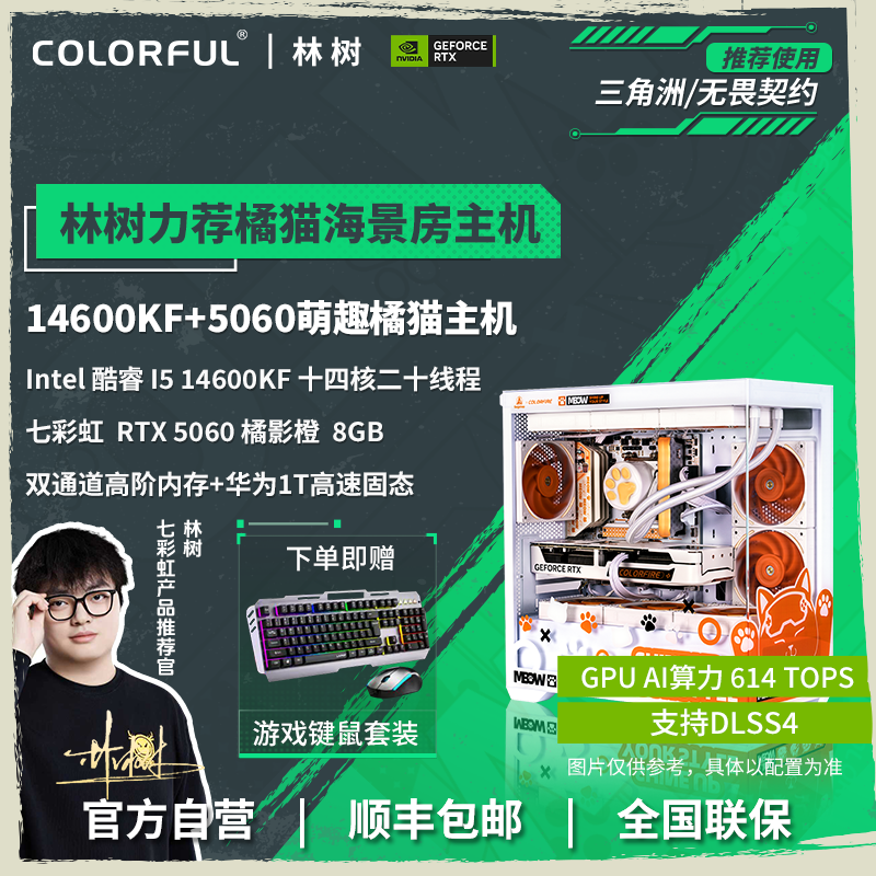 【林树推荐】七彩虹diy主机14600kf+5060三角洲畅玩橘猫电脑组装机