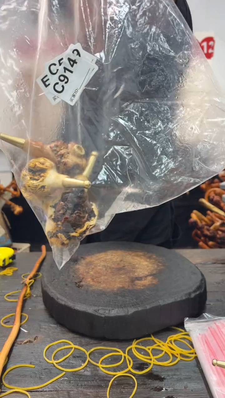 黑果木其他黑果木165