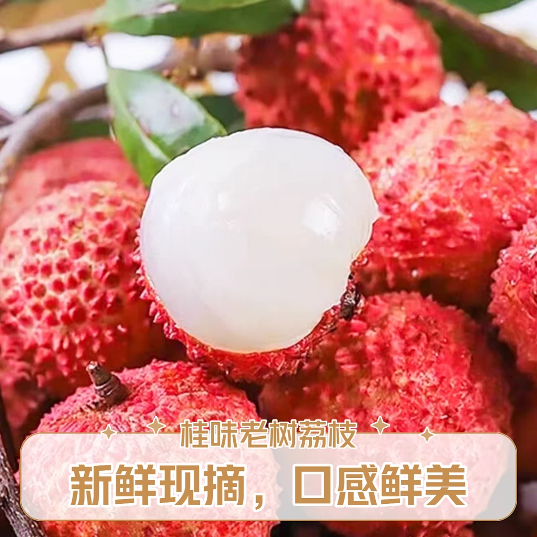 【生鲜冷链】正宗桂味广东荔枝新鲜采摘桂花香甜当季水果生鲜
