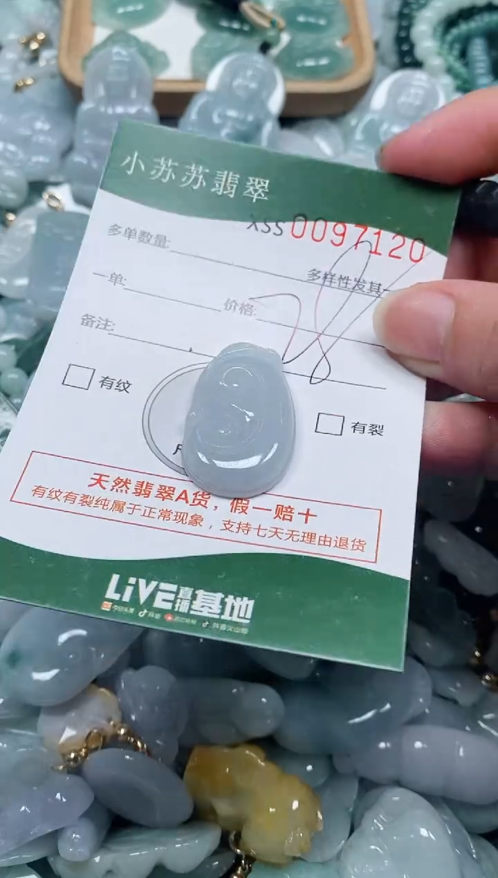 【闪购商品】翡翠颈饰未镶嵌闪购商品0097120