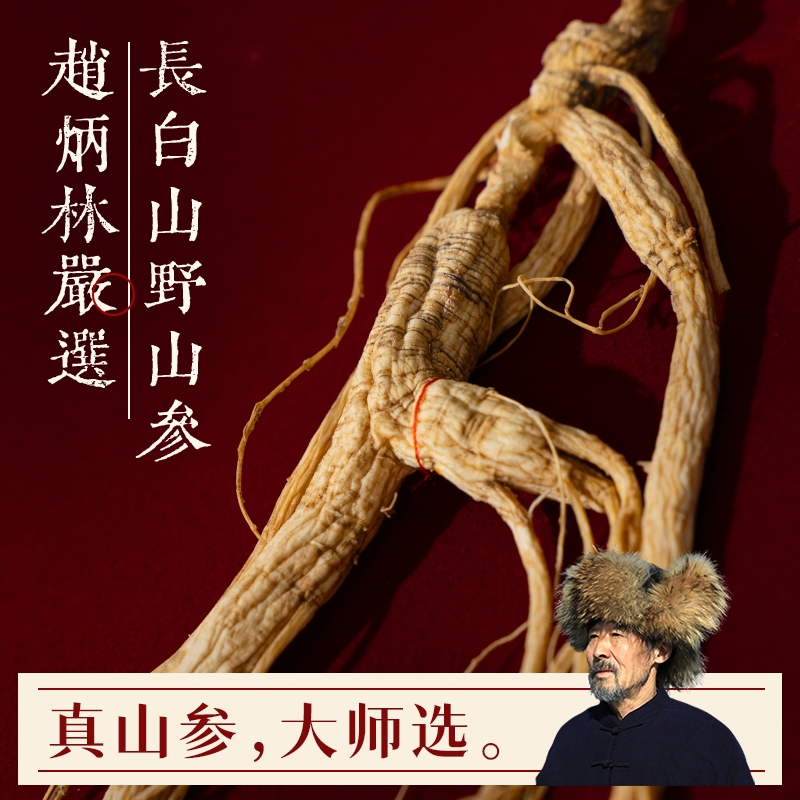 【赵炳林严选·入门首选】二等野山参【十五年以上】一参一证-5-8克