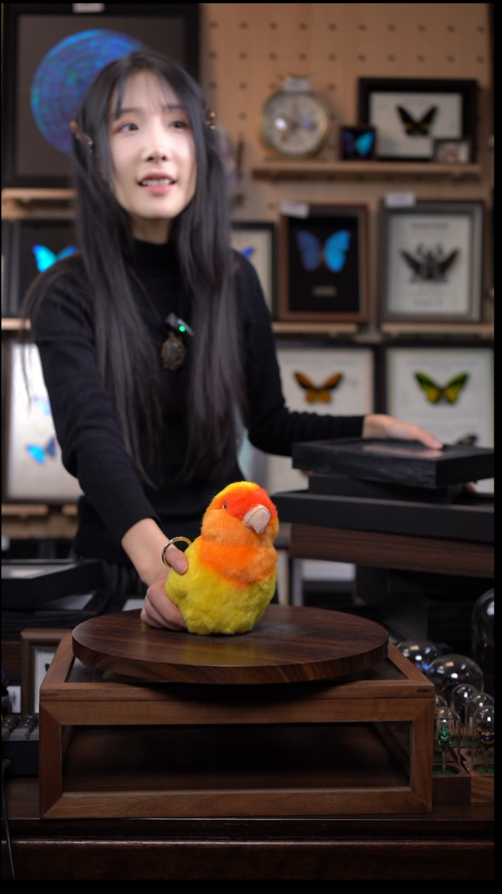 旺*动物标本摆件