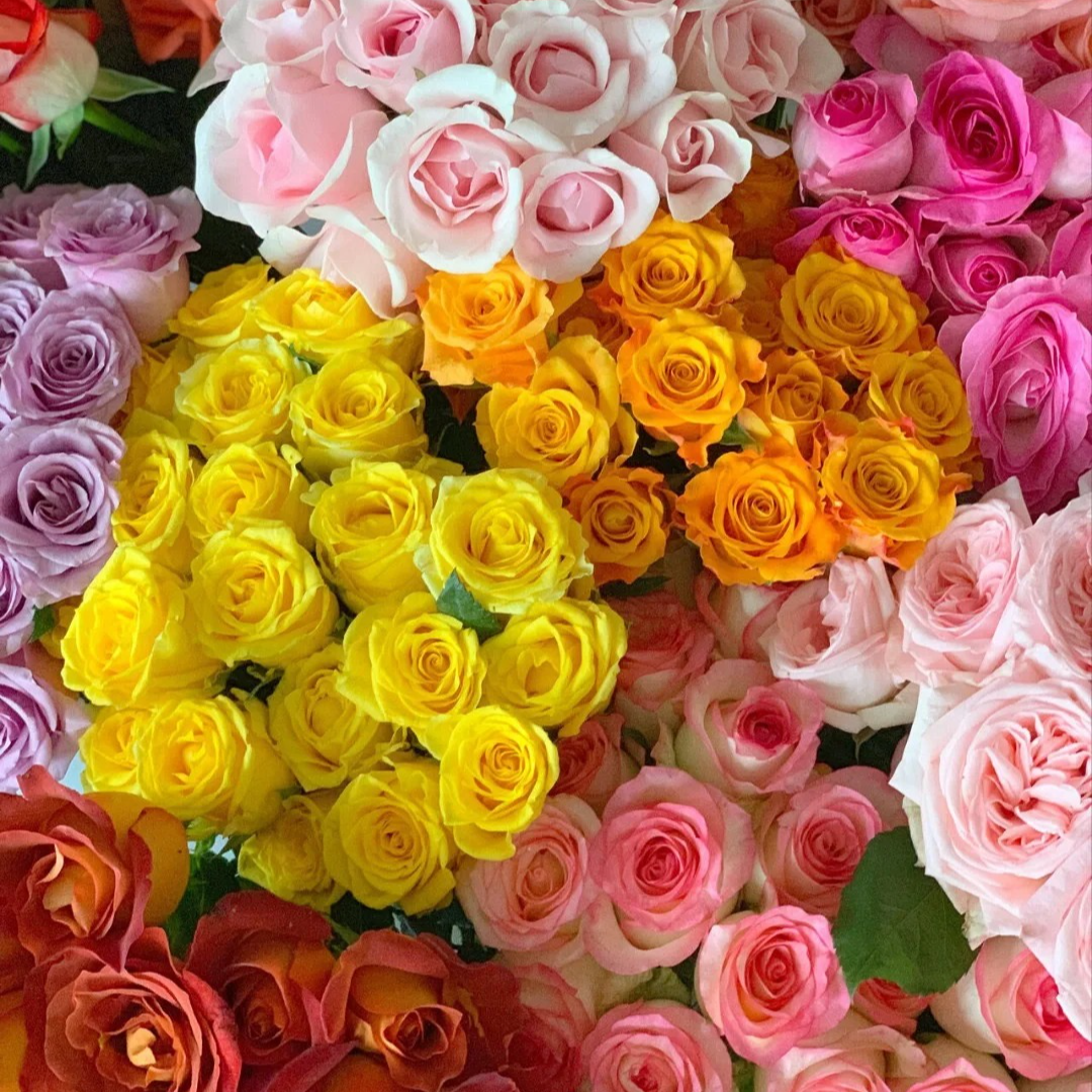 【随机鲜花】 一单包邮  云南昆明斗南基地直发鲜花