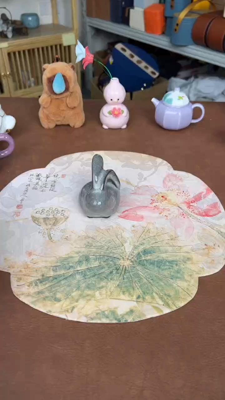 【闪购商品】新人第一天直播浮力上车