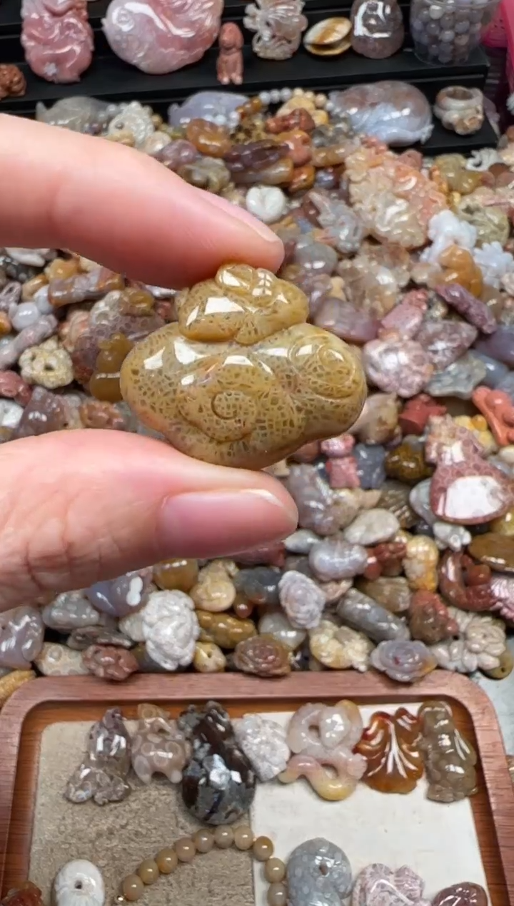 颈饰未镶嵌硅化珊瑚（珊瑚玉）840