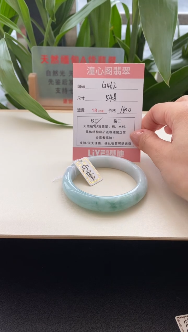 未镶嵌手镯翡翠54.9圈口编码g462