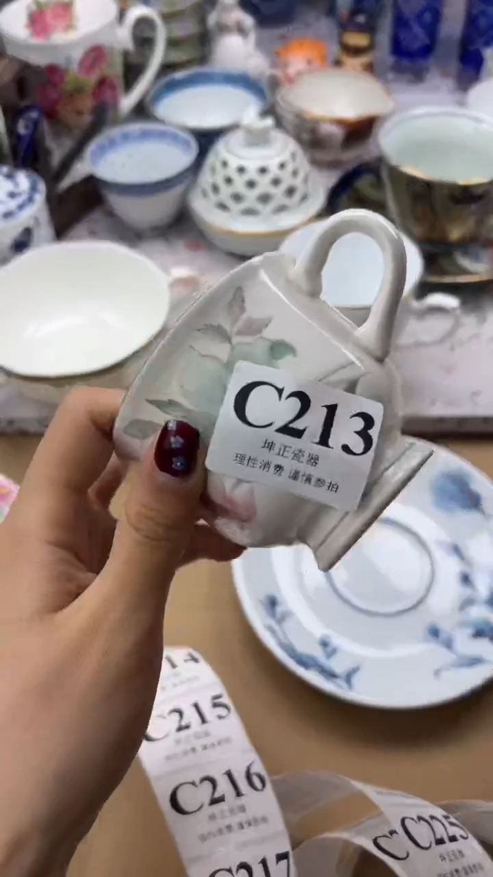 瓷片          C213